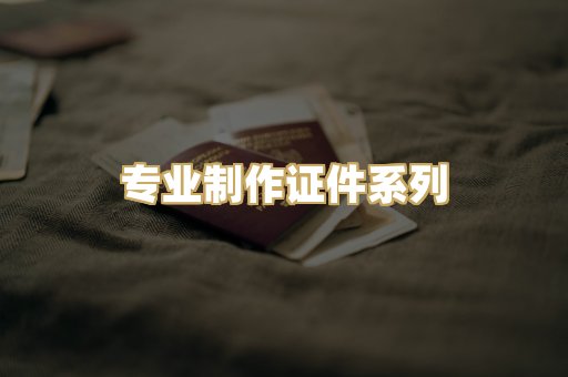 专业制作证件系列