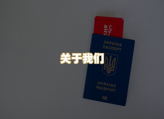关于我们